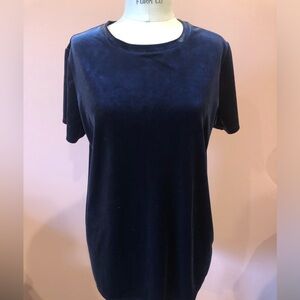 Beautiful Blue velvety Gap shirt